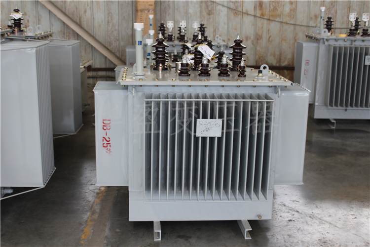 衡阳S20-800kVA/10kV/0.4kV变压器